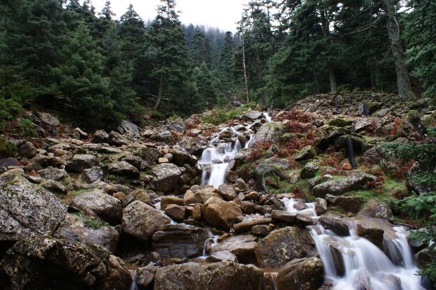 Sólo el 36,2% de Sierra Bermeja será parque nacional. :: j. m.