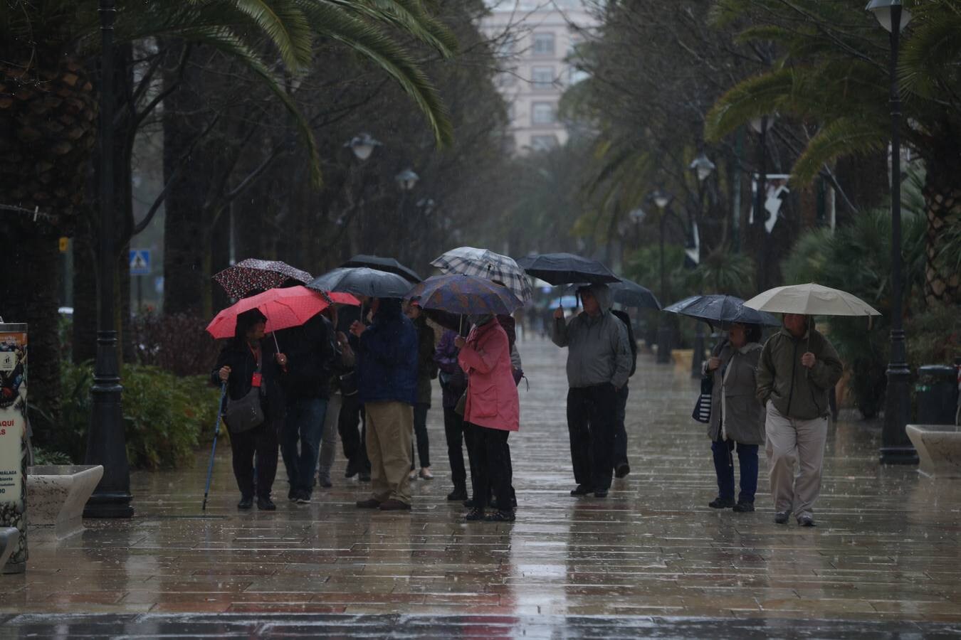 La lluvia, en el Centro de Málaga