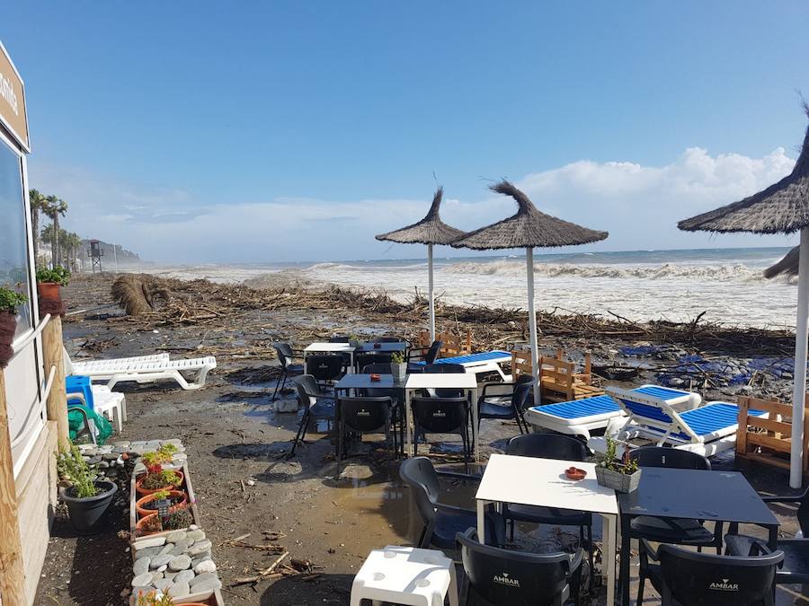 El temporal comienza a acumular todo tipo de suciedad en las playas. Así se encuentra la playa de Mezquitilla en Algarrobo.