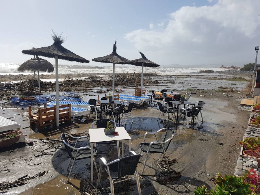 El temporal comienza a acumular todo tipo de suciedad en las playas. Así se encuentra la playa de Mezquitilla en Algarrobo.