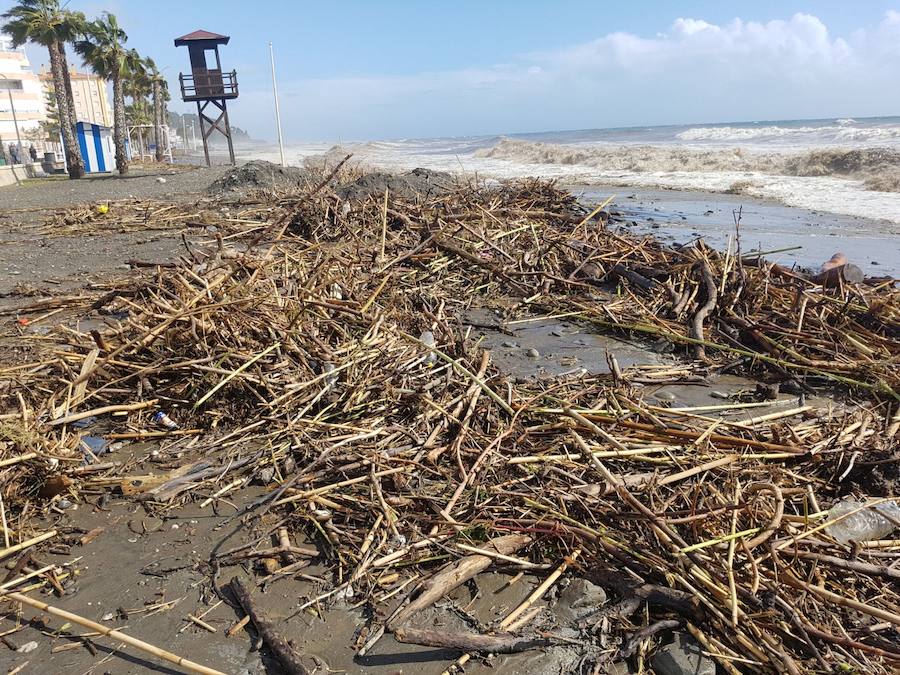 El temporal comienza a acumular todo tipo de suciedad en las playas. Así se encuentra la playa de Mezquitilla en Algarrobo.