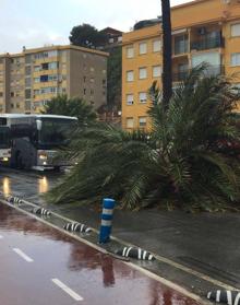 Imagen secundaria 2 - Foto superior, balsas de agua en la Avenida de la Paloma. Abajo, Centro de Málaga. La última foto, palmera caida que ha cortado el tráfico en los Baños del Carmen. 