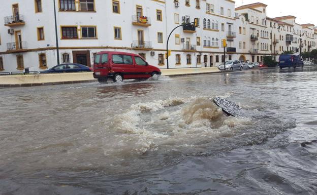 Imagen principal - Foto superior, balsas de agua en la Avenida de la Paloma. Abajo, Centro de Málaga. La última foto, palmera caida que ha cortado el tráfico en los Baños del Carmen. 