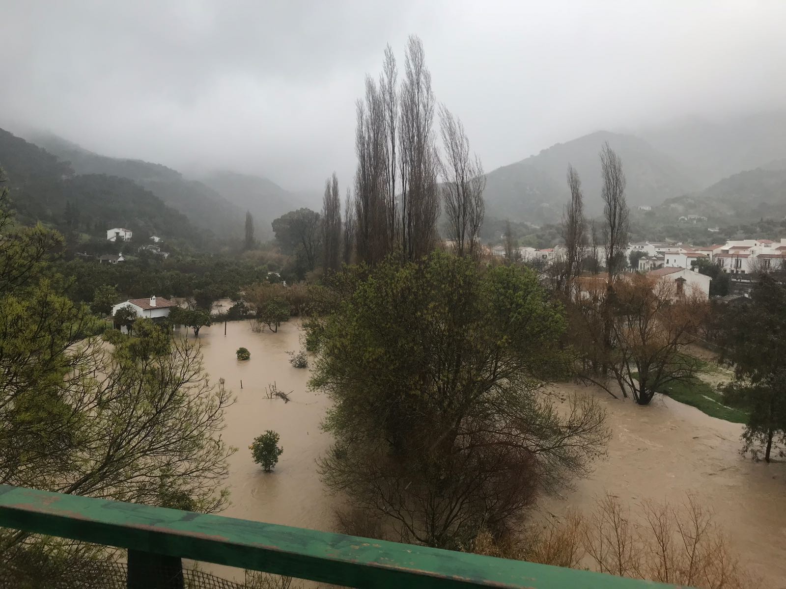 El Guadiaro a su paso por Jimera de Líbar. 