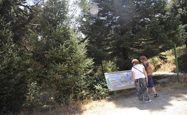 Dos senderistas pasean en el actual parque natural de la Sierra de las Nieves. 