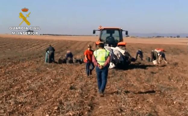 Inmigrantes trabajando en Ciudad Real.