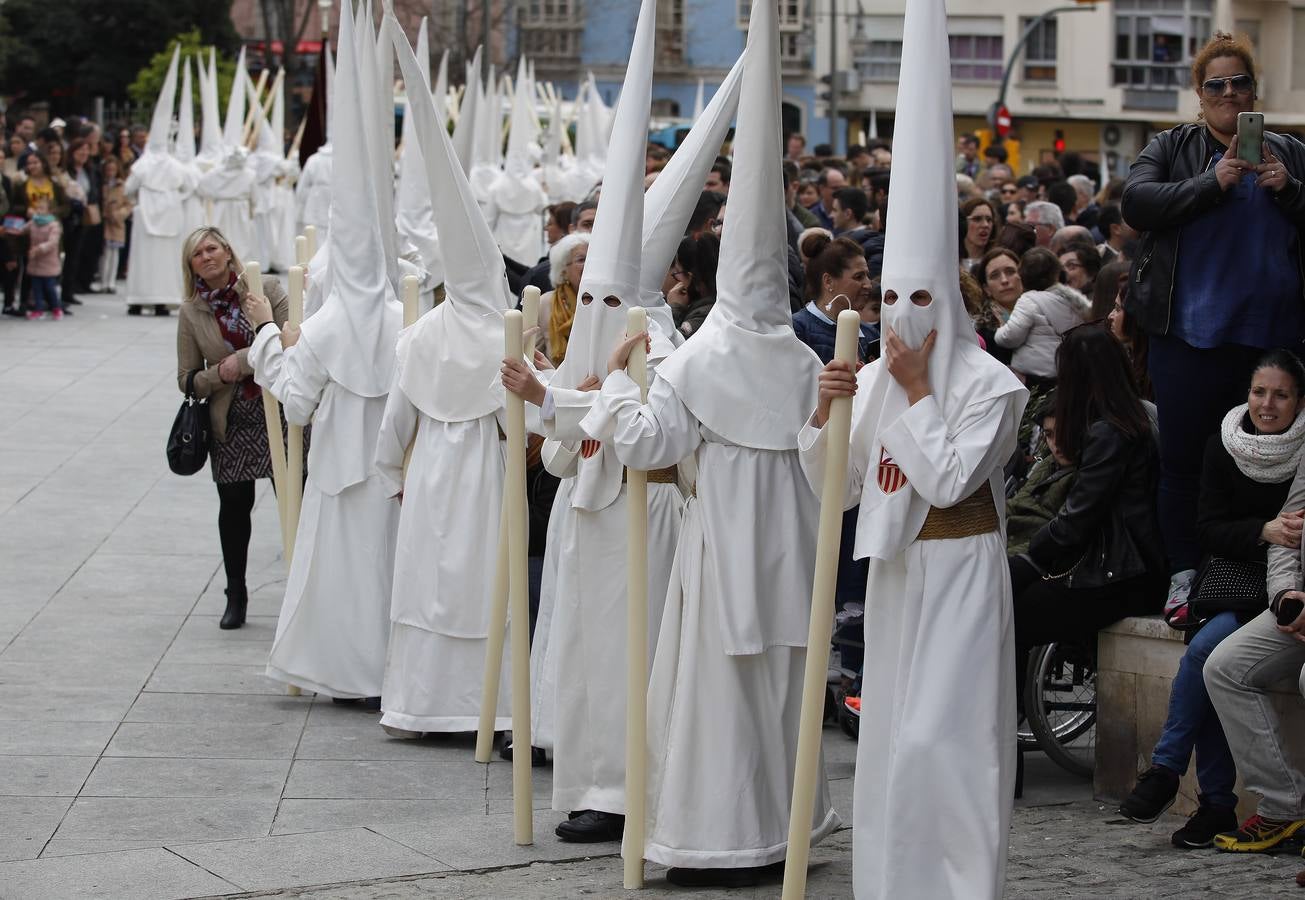 Semana Santa de Málaga | Fotos Humildad. Domingo de Ramos 2018