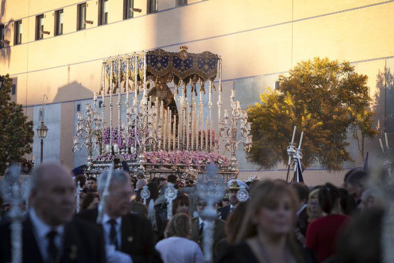 Ilustre y Venerable Hermandad en La Orden de Santo Domingo de Guzmán, de Nuestro Padre Jesús de La Humillación y Perdón y María Santísima de La Estrella