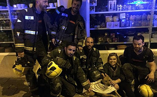 Efectivos de bomberos rescataron al perro de la familia que se había quedado dentro de la casa.