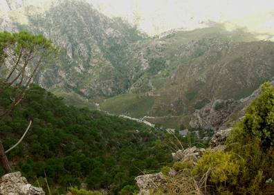 Imagen secundaria 1 - Esta etapa de la Gran Senda de Málaga recorre los valles del Chíllar y del Higuerón | Vista general del valle del río Chíllar | Entre otros ejemplares de fauna, se suelen ver distintos tipos de reptil