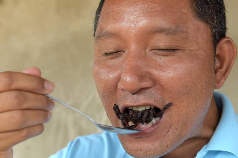 Un plato lleno de estos peludos animales del tamaño de un puño resulta en Camboya un preciado manjar, pero se encuetran en peligro de extinción