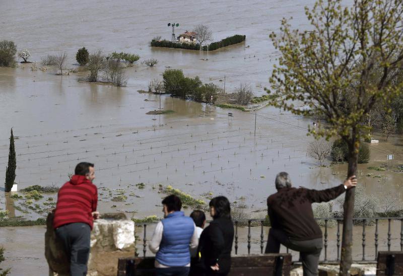 La localidad navarra de Miranda del Arga sufre numerosos daños por la crecida del río
