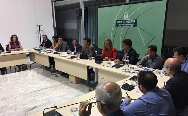 Agricultura traslada a la Mesa de Sanidad Vegetal «toda la información» del caso aislado del 'ébola del olivo' detectado en Almería