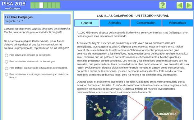 Comprensión lectora. Preguntas del estudio piloto de este curso, centrado en la competencia lectora en entornos digitales .