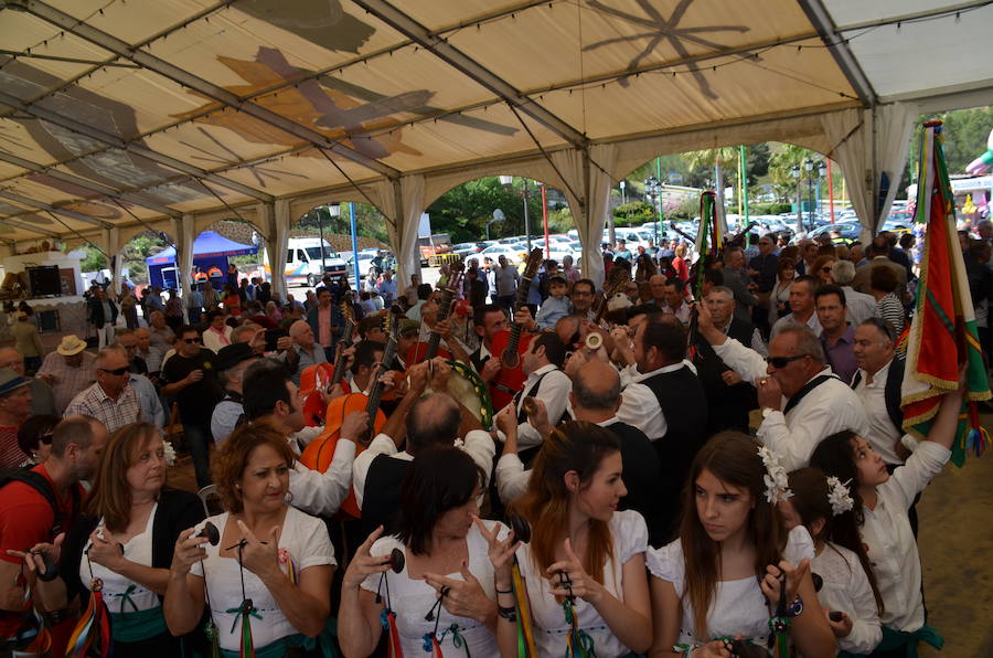 Acoge una fiesta multitudinaria para festejar la distinción de la FAO a un sistema de cultivo tradicional del que viven 2.000 familias de la Axarquía