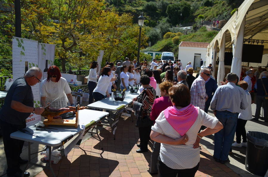 Acoge una fiesta multitudinaria para festejar la distinción de la FAO a un sistema de cultivo tradicional del que viven 2.000 familias de la Axarquía