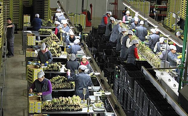 Instalaciones de Horticultores El Torcal en Antequera. 