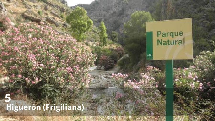 Desde uno de los pueblos más bonitos de España parte un bonito recorrido por el cauce del Higuerón, que recuerda en muchos de sus tramos al Chíllar, del que es afluente. Aunque el primer tramo puede resultar algo aburrido, más arriba aguardan bonitos ‘cahorros’ o angosturas de piedra caliza. Para llegar al final de la ruta será necesario algo de destreza para poder salvar dos saltos de agua. En cualquier caso, se recomienda ir con personas experimentadas en este tipo de rutas.