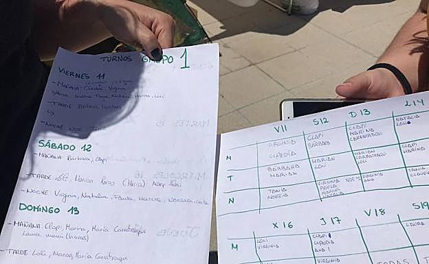 Detalle del reparto de tareas. 