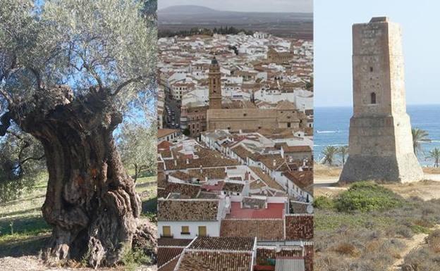 Test: ¿En qué lugar de la provincia de Málaga están estos lugares?
