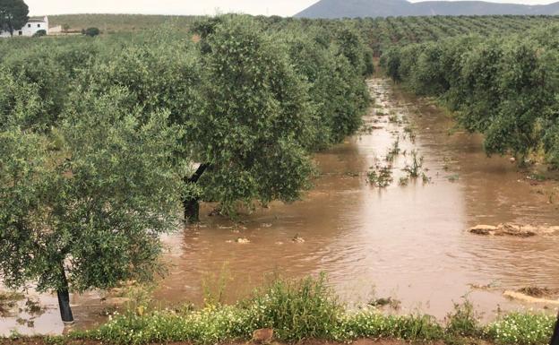 Tromba de agua caída en el término municipal de Antequera. 