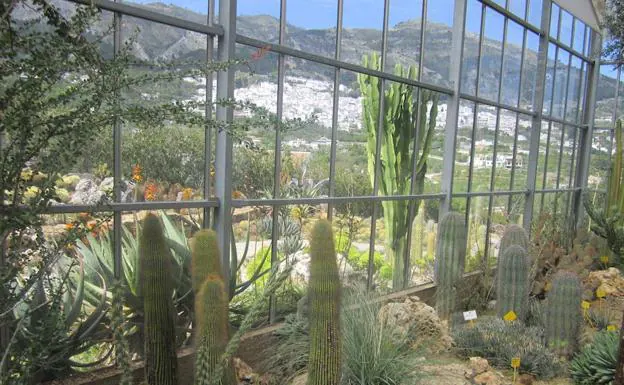 Jardín Botánico del Cactus, en Casarabonela.