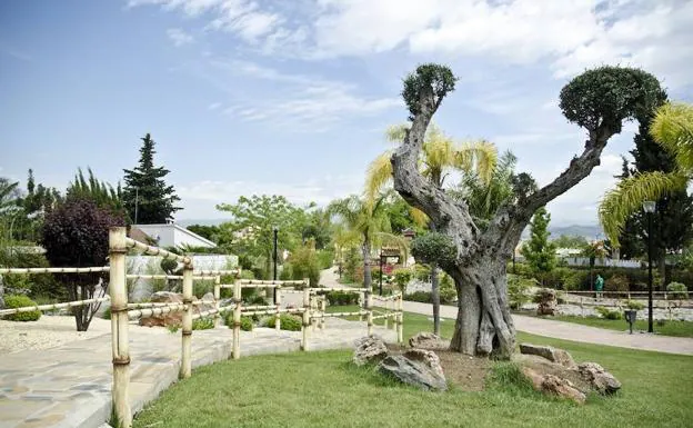 El Jardín Oriental Bienquerido está inspirado en Japón 