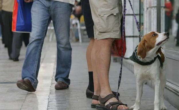 Marbella repartirá bolsas y botellas para limpiar la orina de los perros