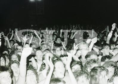 Imagen secundaria 1 - 28.000 personas asistieron al concierto.