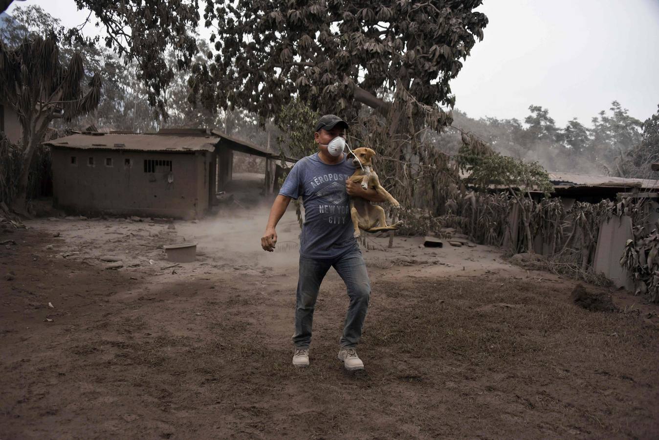 La erupción del volcán de Fuego en Guatemala ha causado al menos una treintena de muertos, aunque la cifra sigue aumentando. Las fuerzas de seguridad y salvamento se han movilizado para salvaguardar a los afectados que se cuentan por miles.