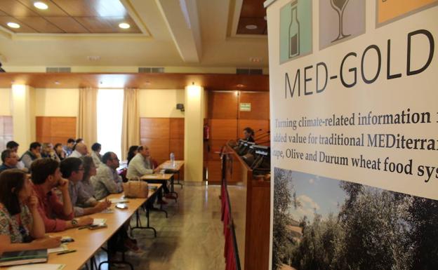 Dcoop participa en un proyecto europeo para diseñar servicios climáticos para el olivar