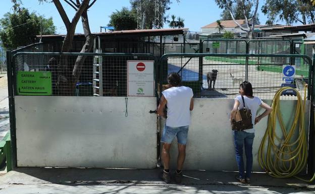 Seprona, la Asociación El Refugio, la Seguridad Social, y el Colegio de Veterinarios figuran como acusación