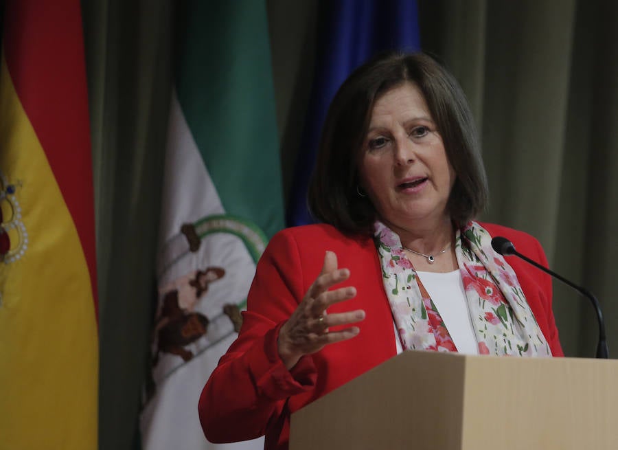 Fotos: Entrega de los Premios Andalucía Diversidad