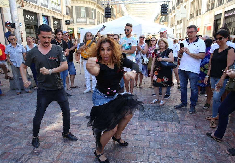 Animados por el grupo de los bailaores Antonio de Verónica y Saray Cortés, los participantes se han afanado en seguir la coreografía que se marcaba desde el escenario