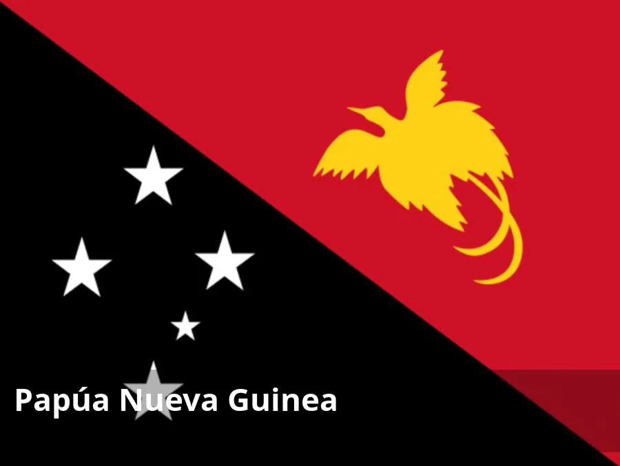 En general, en Papúa Nueva Guinea, el nivel de criminalidad es elevado, por lo que debe tenerse particular cuidado por la seguridad personal, tanto de día como de noche, y especialmente en determinadas zonas. Las violaciones y los asaltos sexuales son delitos muy graves y generalizados en el país.