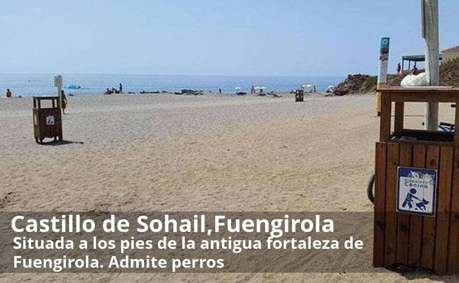Esta playa tiene la peculiaridad de ser una de las pocas franjas en las que está permitido el acceso de perros en plena temporada alta. Situada a los pies de la antigua fortaleza de Fuengirola, está muy bien comunicada con el paseo marítimo de la Costa del Sol. Eso sí, habrá que fijarse bien en la zona que está acotada para poder estar con los animales. Otras opciones de playas caninas en la costa malagueña son las que hay en Torre del Mar, Casares, Marbella (En El Pinillo y Ventura del Mar) y Arroyo Totalán.  Más info aquí.