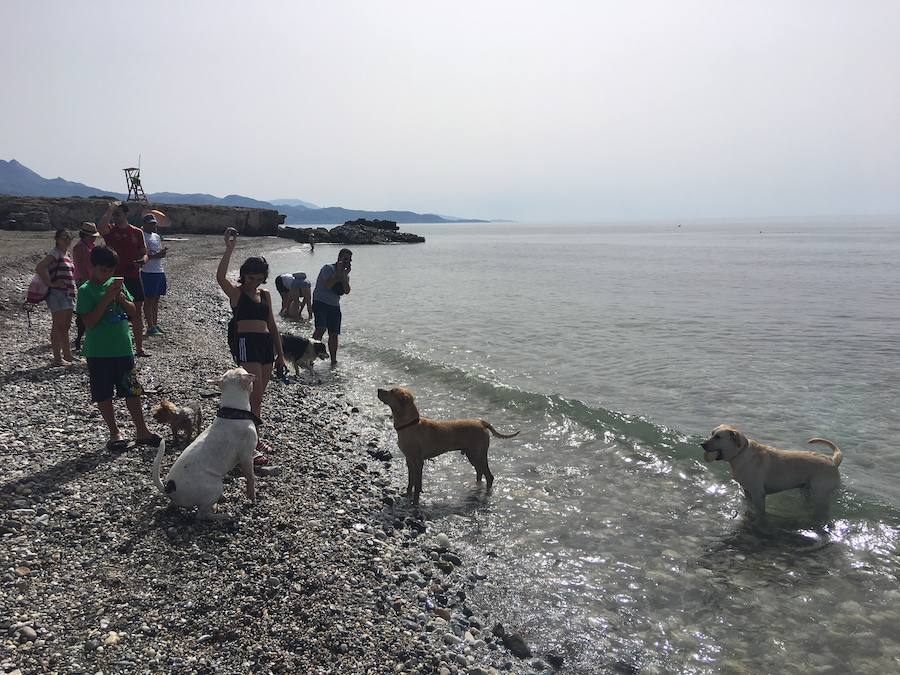 Está situada en la desembocadura del río de Torrox y ocupa casi 300 metros de franja litoral.