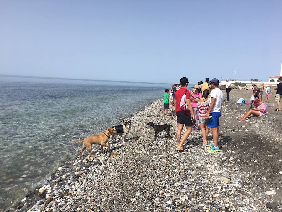 Está situada en la desembocadura del río de Torrox y ocupa casi 300 metros de franja litoral.