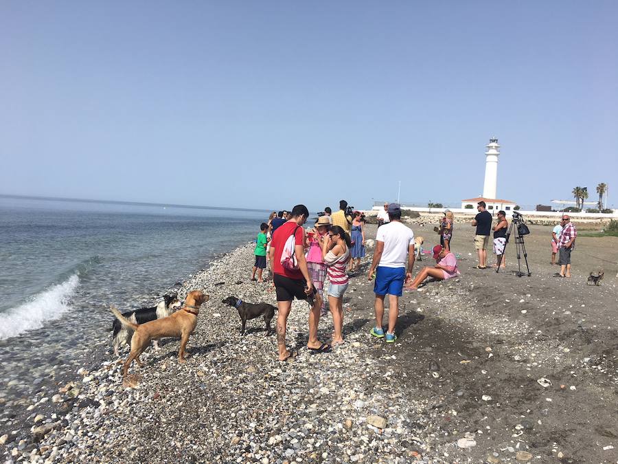 Está situada en la desembocadura del río de Torrox y ocupa casi 300 metros de franja litoral.