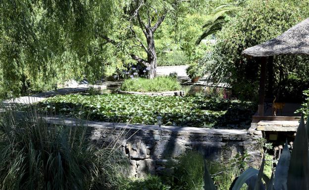 Imagen principal - Parte del agua sacada del río sirve para abastecer un lago artificial con nenúfares