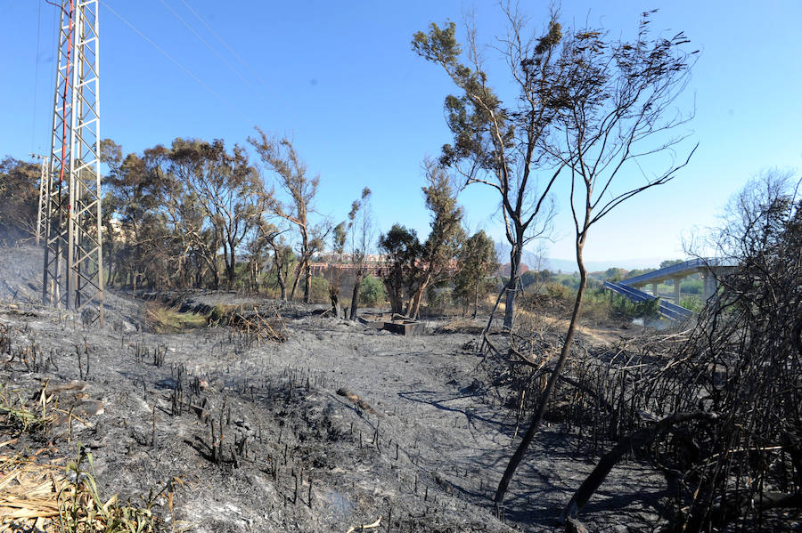 Unos 47 bomberos forestales, dos técnicos de operaciones, una brica, dos autobombas, dos agentes de medio ambiente y dos helicópteros han trabajado en la extinción del incendio que en Manilva obligó a desalojar a 400 personas.