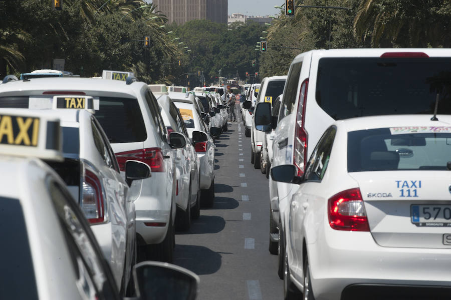 En el tercer día de huelga, los taxistas de Málaga han vuelto a cortar por sorpresa el Paseo del Parque en ambas direcciones.