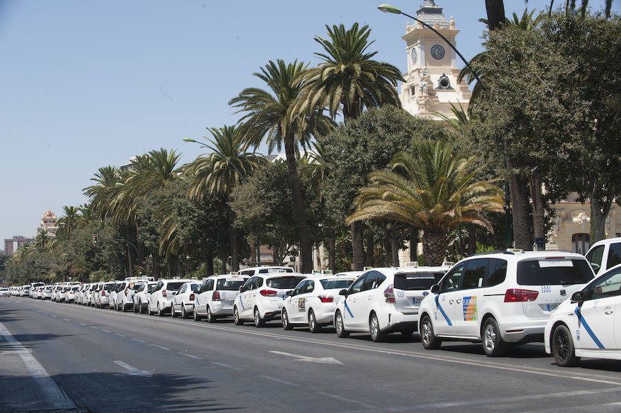 En el tercer día de huelga, los taxistas de Málaga han vuelto a cortar por sorpresa el Paseo del Parque en ambas direcciones.