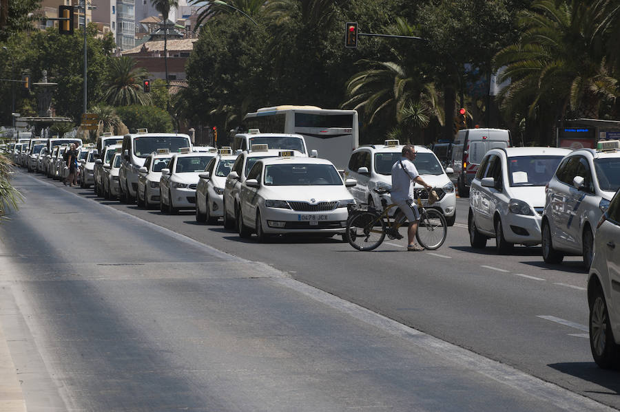En el tercer día de huelga, los taxistas de Málaga han vuelto a cortar por sorpresa el Paseo del Parque en ambas direcciones.