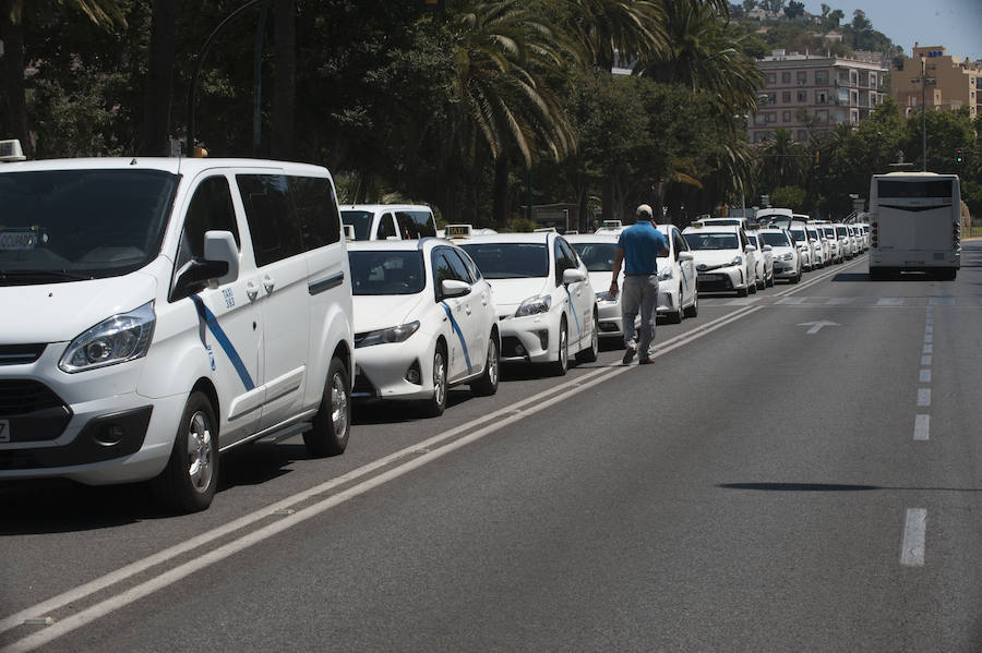 En el tercer día de huelga, los taxistas de Málaga han vuelto a cortar por sorpresa el Paseo del Parque en ambas direcciones.