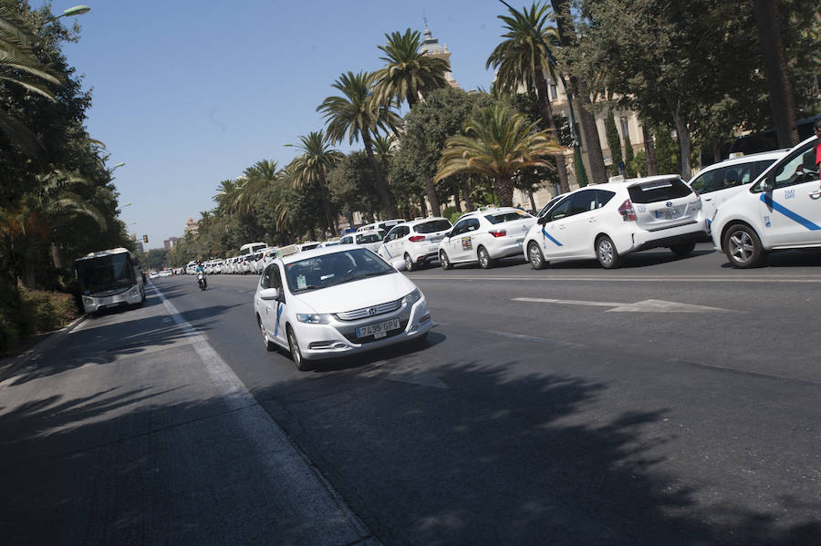 En el tercer día de huelga, los taxistas de Málaga han vuelto a cortar por sorpresa el Paseo del Parque en ambas direcciones.