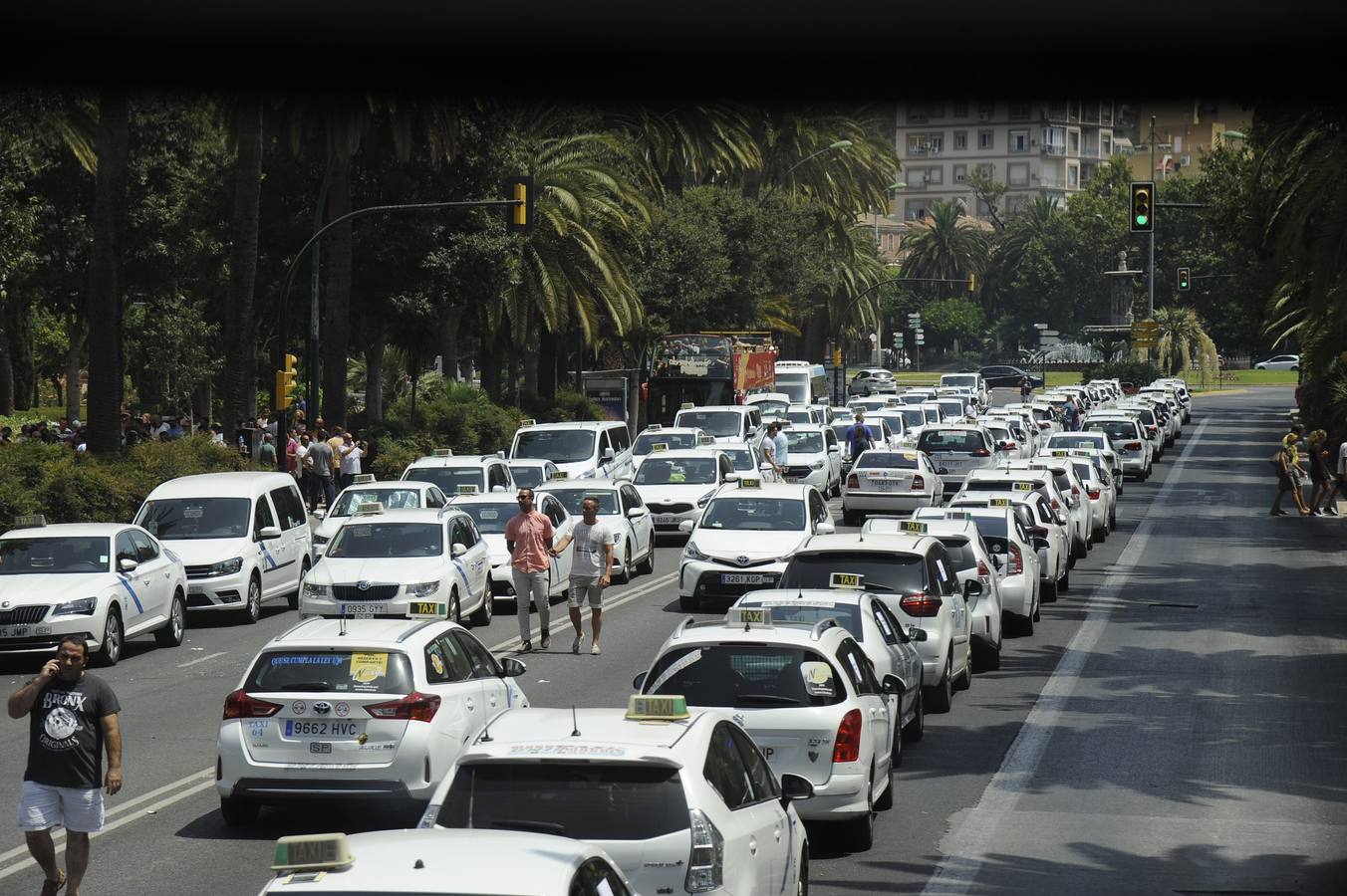 El recorrido se inició en la zona de Martín Carpena y ha terminado en el Paseo del Parque