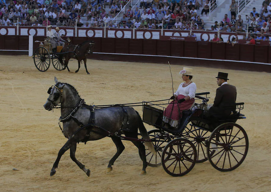 Fotos: Concurso de enganches tradicionales en La Malaguet