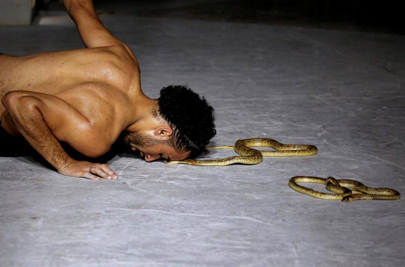 El encantador de serpientes, Amier El Refaie, duerme a las serpientes en su show en el Red Sea resort de Sharm El Sheikh, en Egipto.