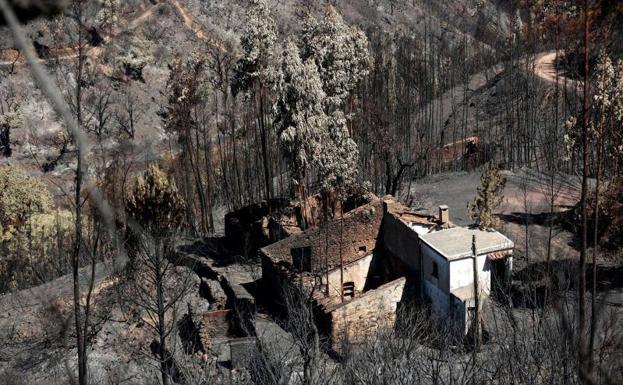 Vista de una zona devastada por los incendios en Monchique. 